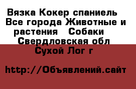 Вязка Кокер спаниель - Все города Животные и растения » Собаки   . Свердловская обл.,Сухой Лог г.